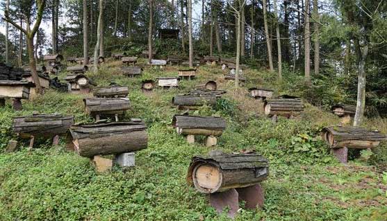 1663235861705305.jpg 166314224486076975.jpg