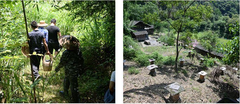 1663235987714754.png 16631422448635718.png