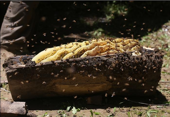 1663236039125865.jpg 166314224486447789.jpg