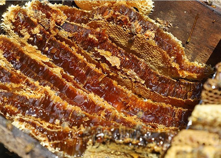 1663236059713842.jpg 166314224486496055.jpg