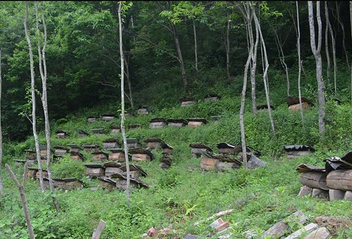 1663236265134667.jpg 166314224487047121.jpg