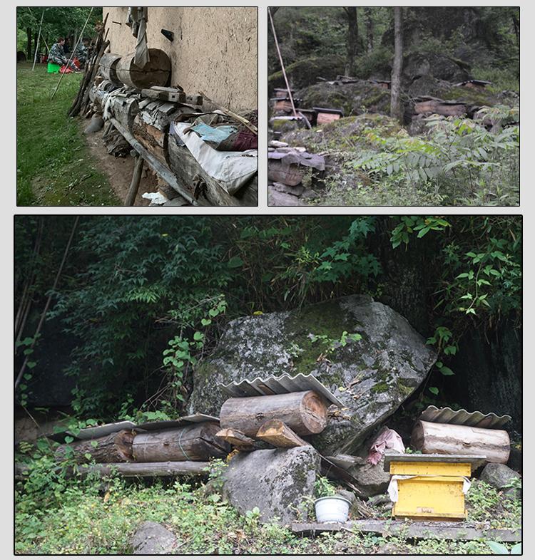 1663236317315981.jpg 166314224487165643.jpg