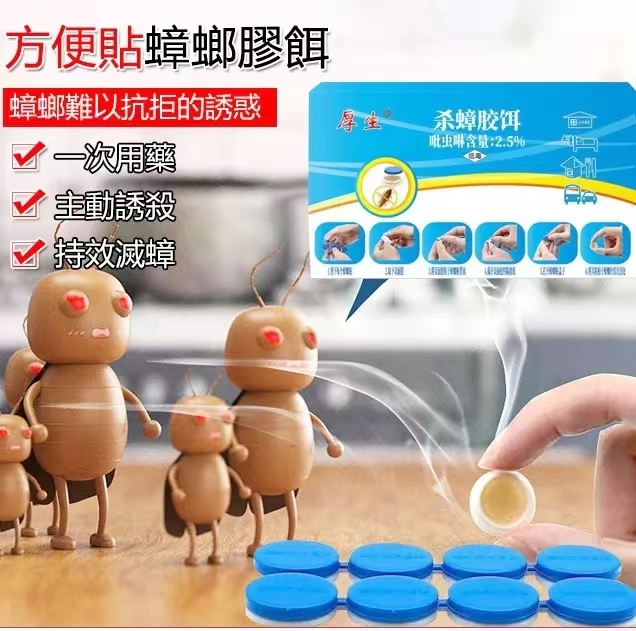 方便貼蟑螂膠餌 一祇中毒 全窩死亡 告别和蟑螂同居的日子