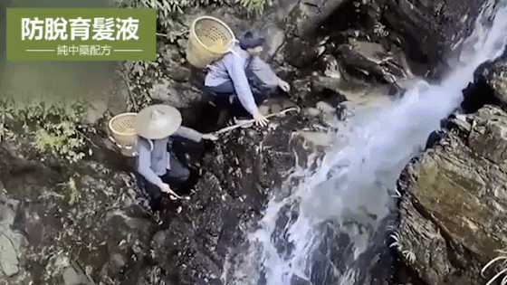 1688283637593492.gif 20230630_103104_151_20230630103231_840.gif