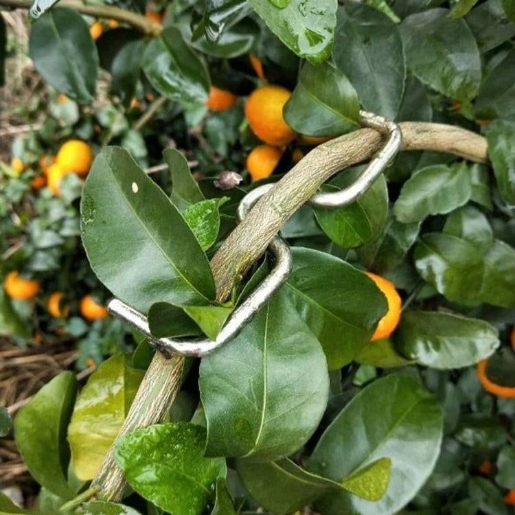 1733402528287605.jpg d1a5b8d23d7b4377ae28c9ca764870b6.jpg