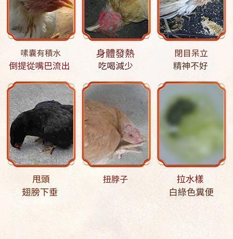 1754411297671348.jpg 5a83aae6a24e1e0757c02a896c835165.jpg